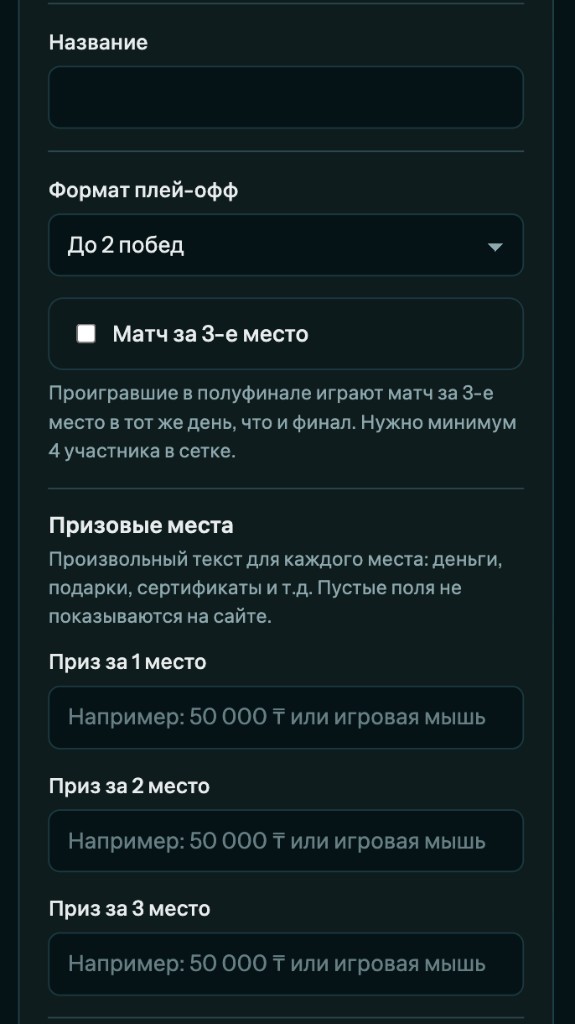 Поля названия, формата плей-офф и призовых мест